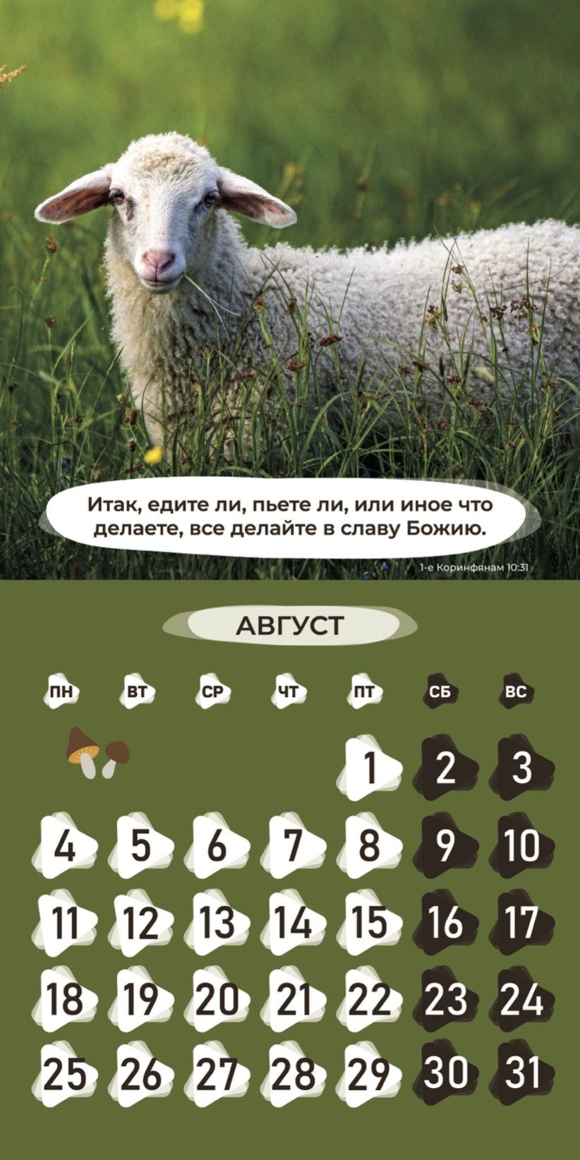 Календарь перекидной на скобе Детский "Забавные животные" (изображение зверей и цитаты из библии)  на 29*29 см на 2025 на 12 листах