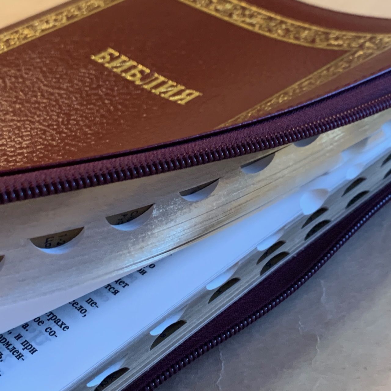 Библия 076zti код C10, дизайн "золотая рамка растительный орнамент", кожаный переплет на молнии с индексами, цвет бордо пятнистый металлик, размер 180x243 мм