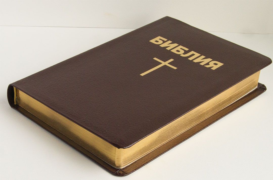 Библия 055  кожаный переплет, бордо, средний формат, 145*220 мм,парал. места по центру страницы, золотой обрез, хороший крупны шрифт)