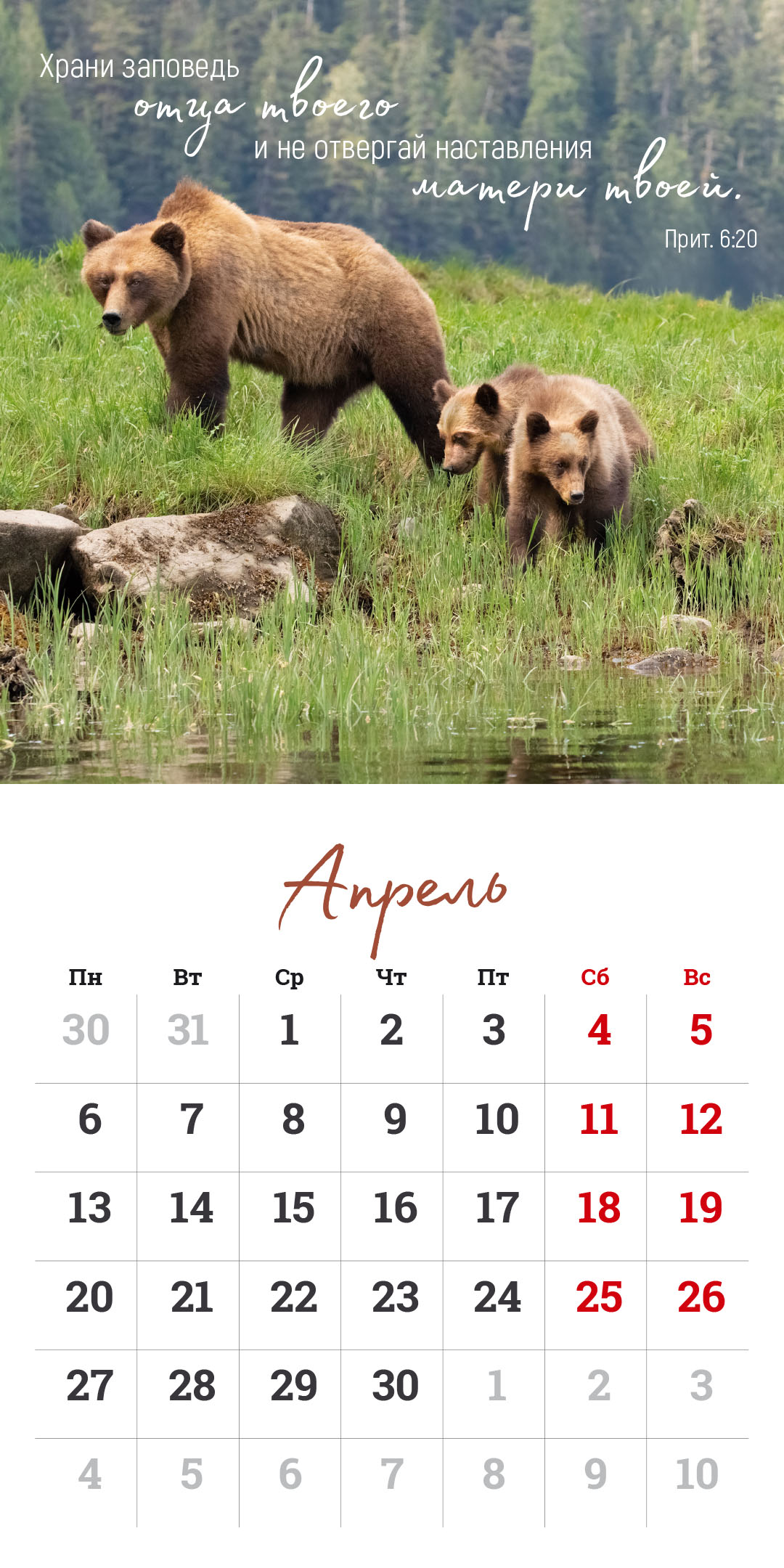 Календарь перекидной на скрепке на 14 страницах на 2026 год 30*30 см (большой) "Мудрость Божьего творения"