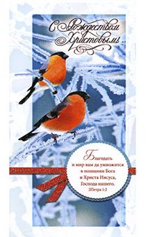 Открытка Поздравительная большая с блестками (двойная с разворотом) без конверта (17*24 см) - С Рождеством Христовым! Благодать и мир вам да умножится в познании… Е32