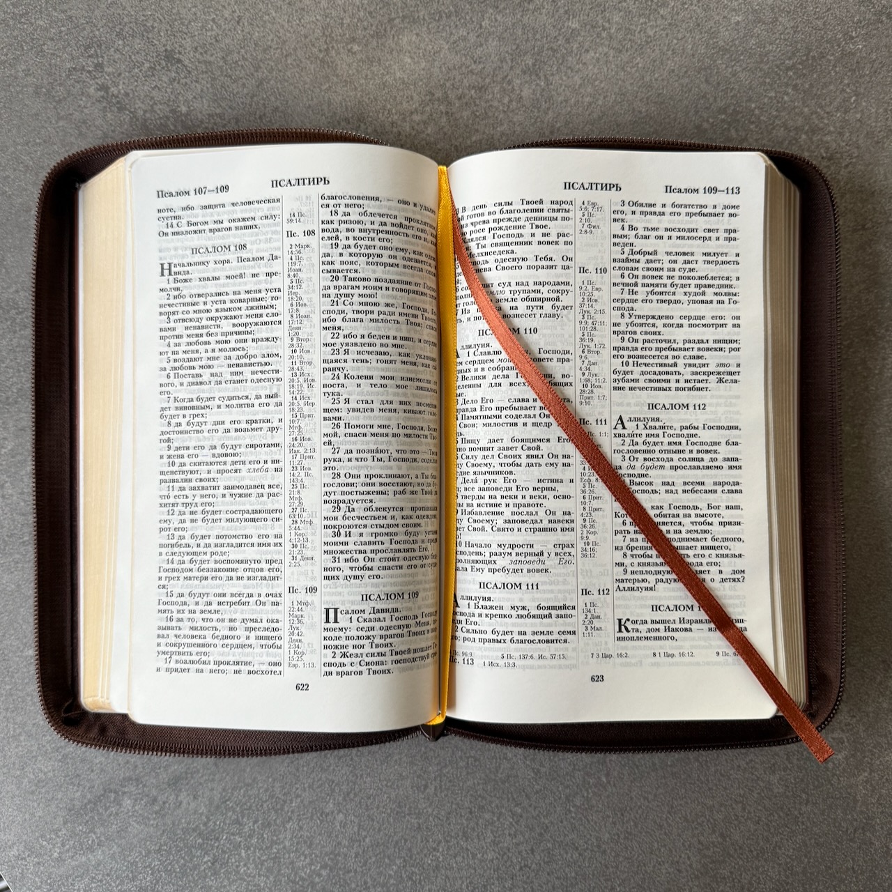 Библия 055z код 25055-49 термо штамп "терновый венец", переплет из эко кожи на молнии, цвет темно-коричневый металлик, средний формат, 143*220 мм