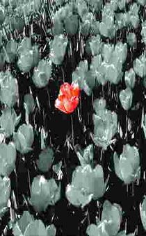 Влюбленный в Христа [CD]