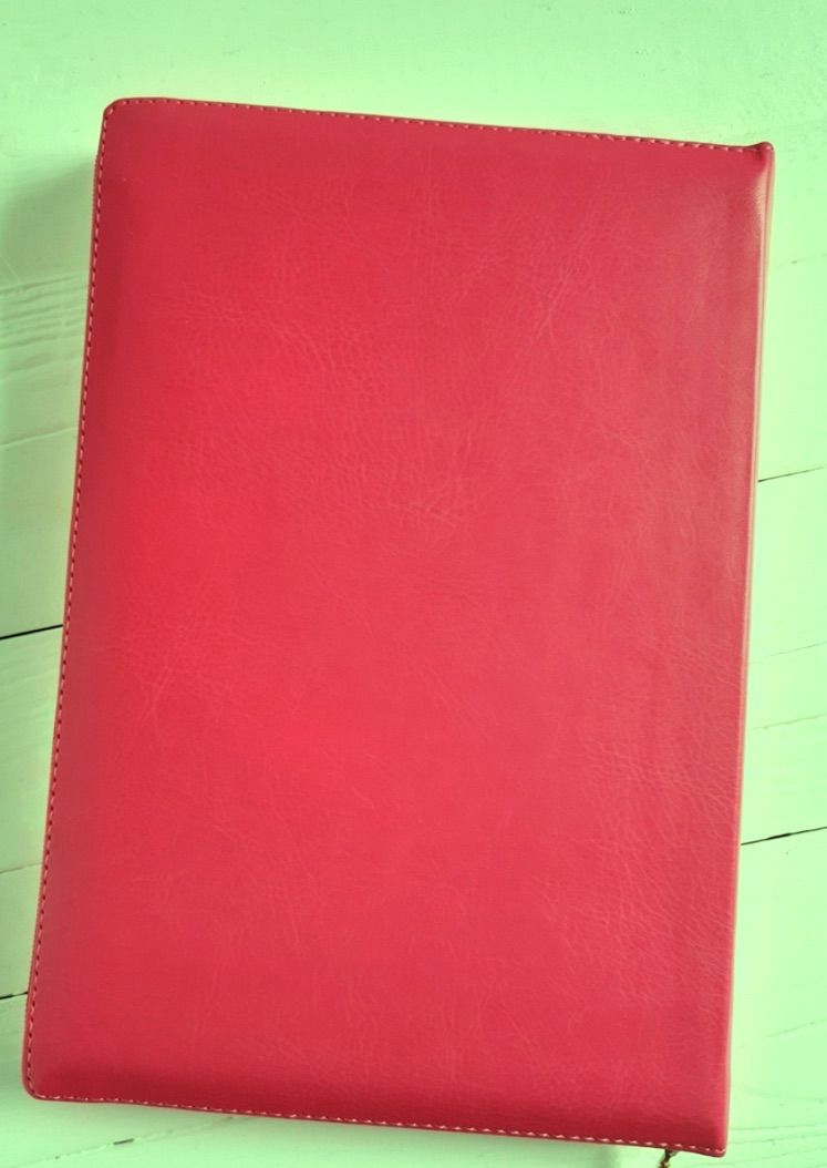 БИБЛИЯ 046 DTzti формат, переплет из искусственной кожи на молнии с индексами, надпись золотом "Библия", цвет  красный/малиновый полукругом, средний формат, 132*182 мм, цветные карты, шрифт 12 кегель