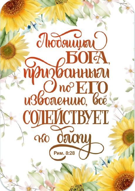 Магнит гибкий «Любящим Бога, призванным по Его изволению, все содействует ко благу» (подсолнухи)