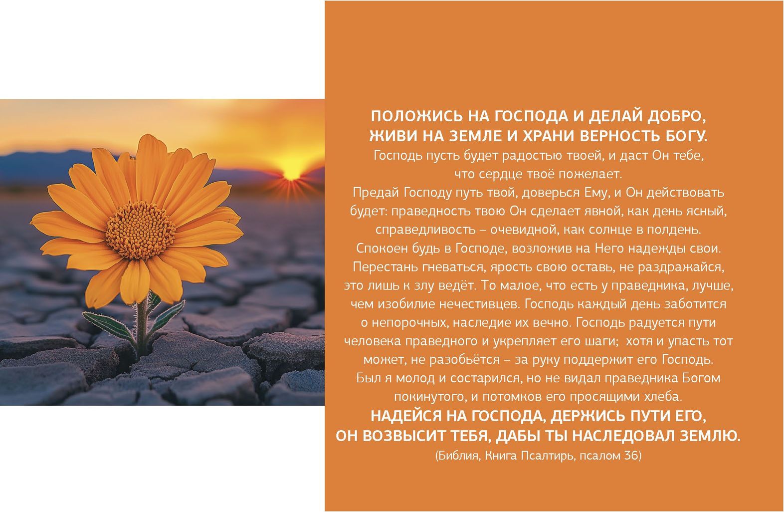 Календарь настольный "Домик" перекидной на 2026 год "Достигая максимума. Путь к успеху", код 524803