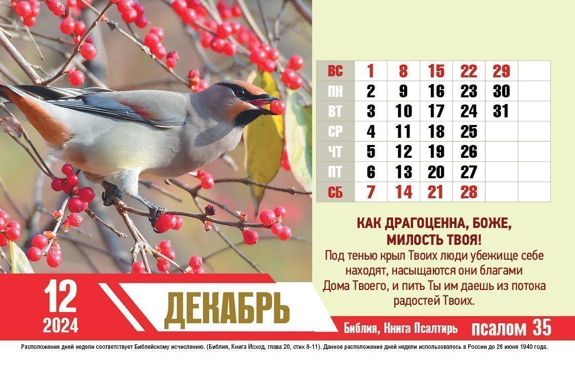 Календарь настольный "Домик" перекидной на 2024 год "Псалмы радости" код 522803