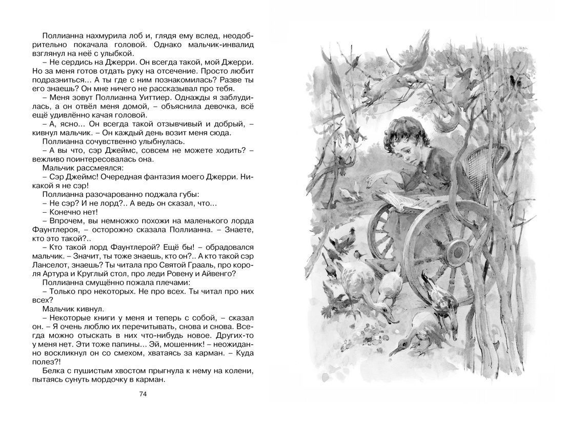 Дисконт.  Еле заметная царапина на обложке. Поллианна выросла. Перевод  Магомет Сергей. Твердый переплет