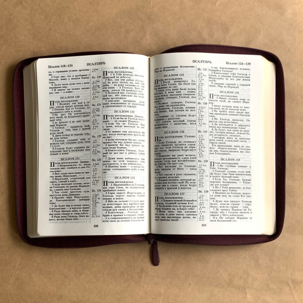 Библия 076z код B4, дизайн "золотая рамка растительный орнамент", кожаный переплет на молнии, цвет бордо пятнистый, размер 180x243 мм