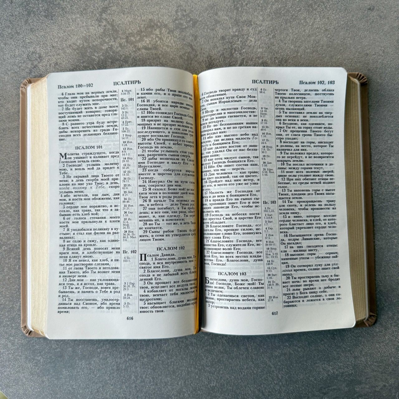 Дисконт небольшой надрыв страницы, 28 глава Бытия. Библия 055 код 25055-55 термо штамп "терновый венец", переплет из эко кожи, цвет серо-бежевый, средний формат, 143*220 мм