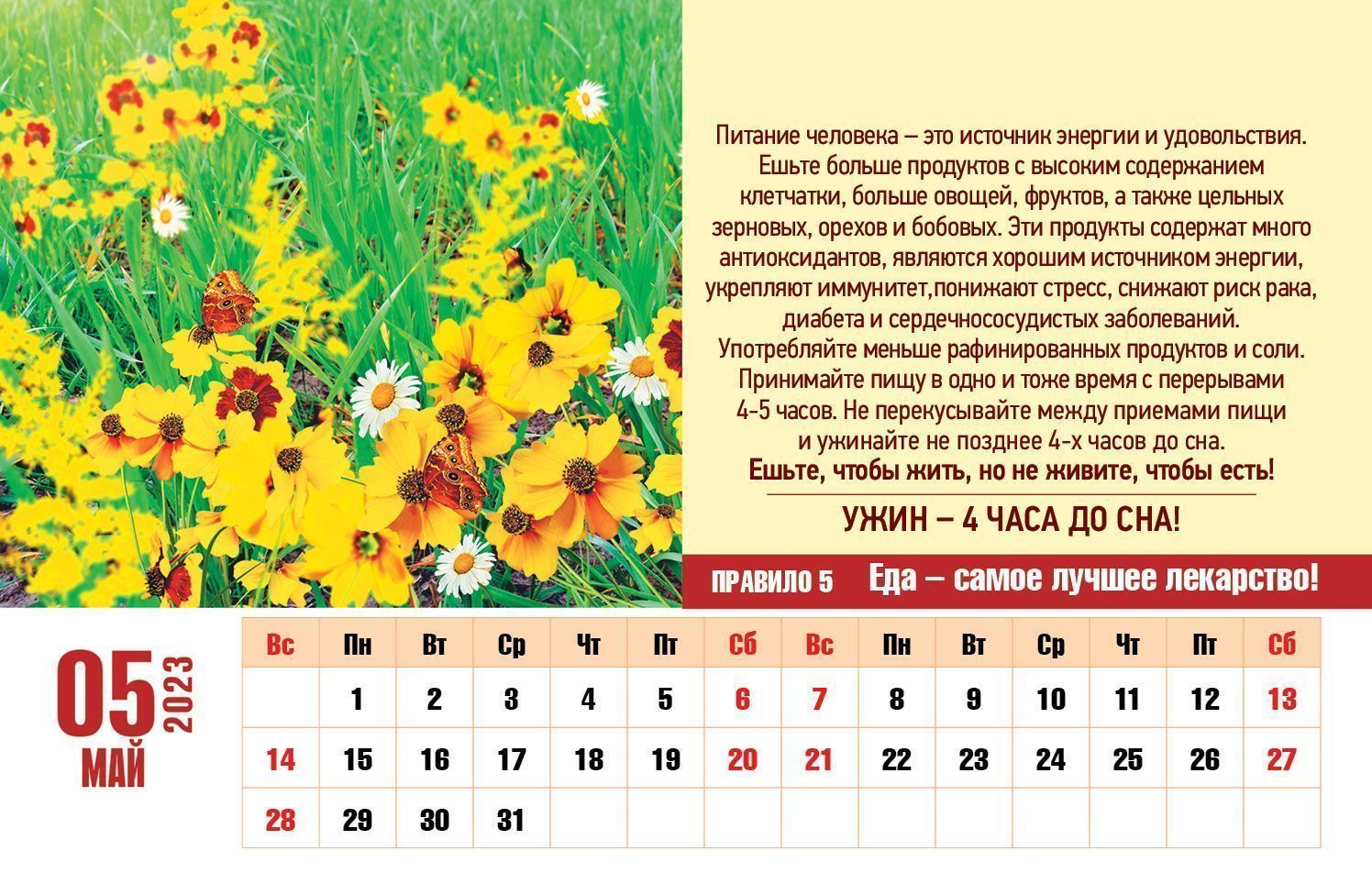 Календарь здоровья на май 2024. Календарь настольный перекидной на 2023 год. Настольный календарь на 2023 год. Календарь настольный перекидной 2023. Календарь настольный домик на 2023 год родная природа.