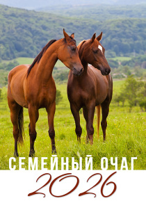 Календарь перекидной на пружине 12 страницах на 2026 год  формат А3+, 34*50 (большой) "Семейный очаг" о бескоротсной любви
