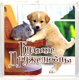 Пластиковый магнит-квадрат 6 х 6 см - «Будьте дружелюбны" кролик и собака