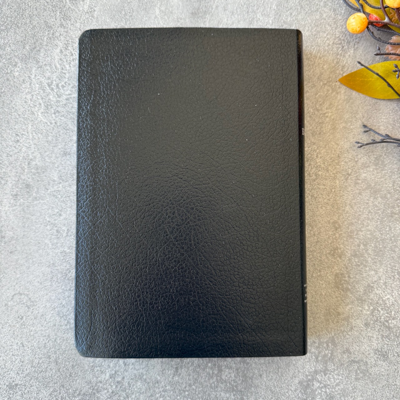 Библия в современном русском переводе 061. под редакцией Кулакова. Кожаный переплет, серебряные страницы, цвет темно-синий