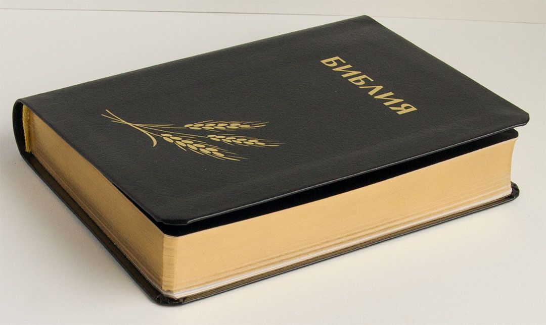 Библия 046 формат (оформление колос, цвет  черный, золотые страницы, размер 130*180 мм)
