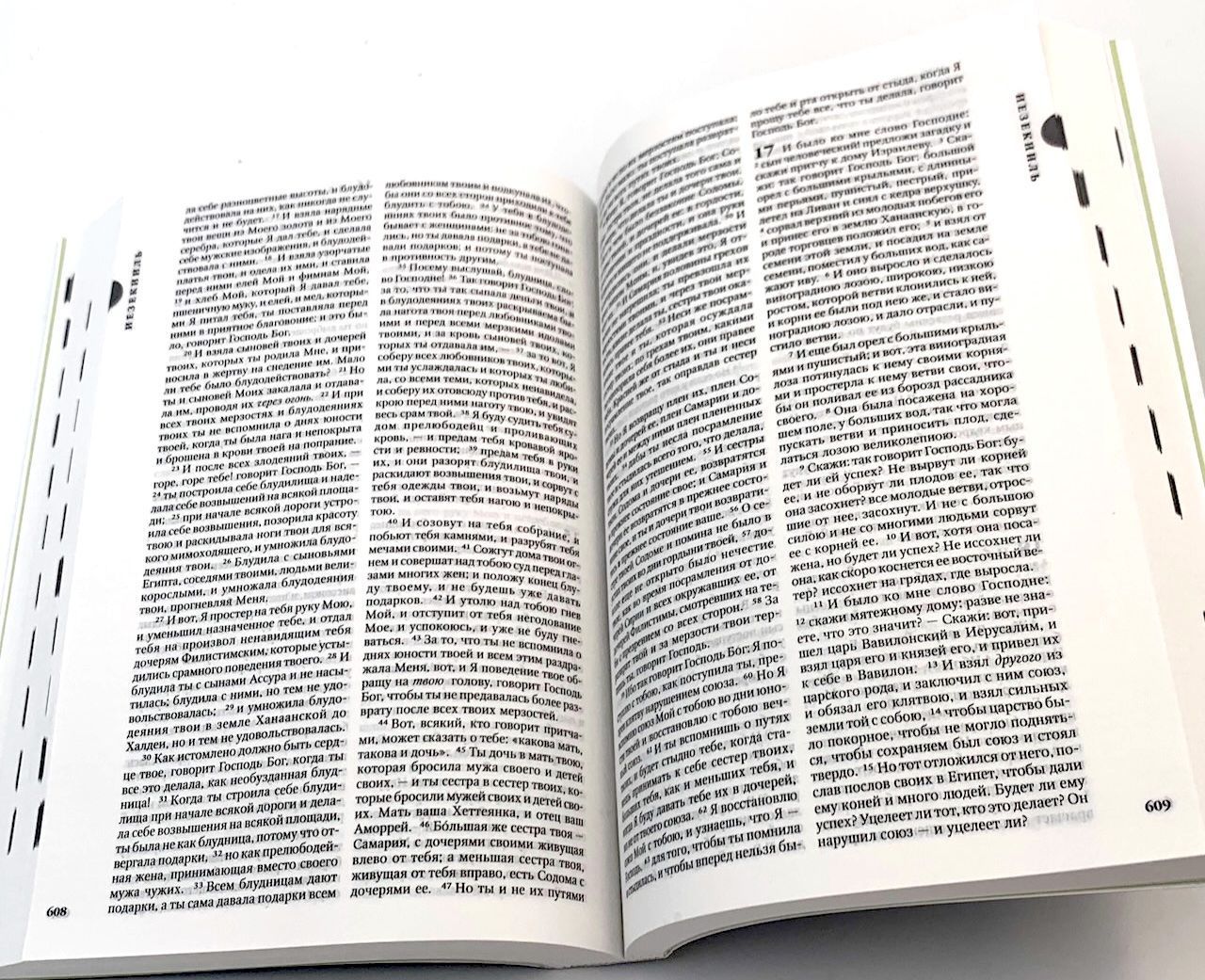 Библия 042 средний формат 114*166 мм, мягкая синяя обложка с изображение хлебов и рыб