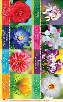 Наклейки листами А5 формата (Цветы) Господь - Сила твоя, Господь - Надежда твоя, Господь - Радость твоя №43