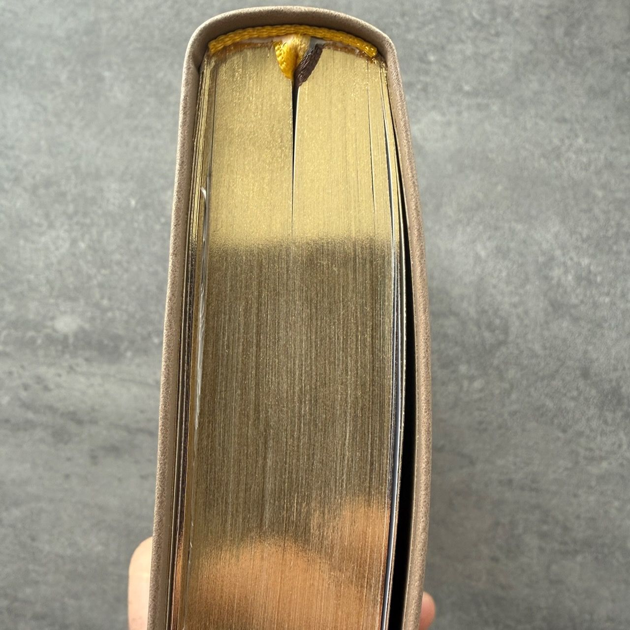 Дисконт небольшой надрыв страницы, 28 глава Бытия. Библия 055 код 25055-55 термо штамп "терновый венец", переплет из эко кожи, цвет серо-бежевый, средний формат, 143*220 мм