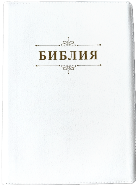Дисконт. Маленькая серая точка на лицевой обложке, слева от центра. Библия 076zti код 25076-16, дизайн "слово Библия", кожаный переплет на молнии с индексами, цвет белый пятнистый, размер 170x243 мм