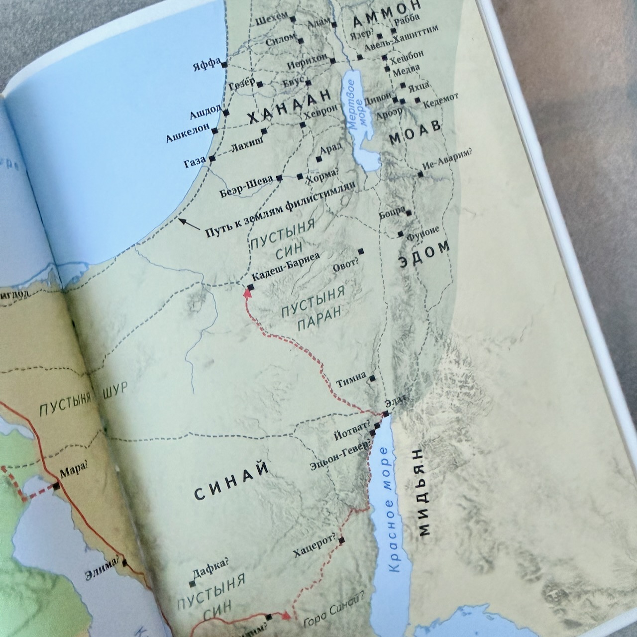 Библия в современном русском переводе 061. под редакцией Кулакова. Кожаный переплет, золотые страницы, цвет белый