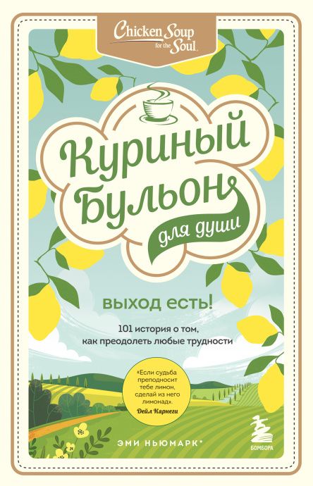 Куриный бульон для души: Выход есть! 101 история о том, как преодолеть любые трудности