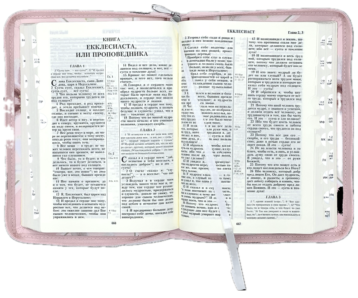 Библия 055 zti код 11552  переплет из эко кожи на молнии, цвет розовый с изображением лилий и надпись "Библия", средний формат, 145*205 мм, парал. места по центру страницы, кремовые страницы, золотой обрез, индексы,  крупный шрифт