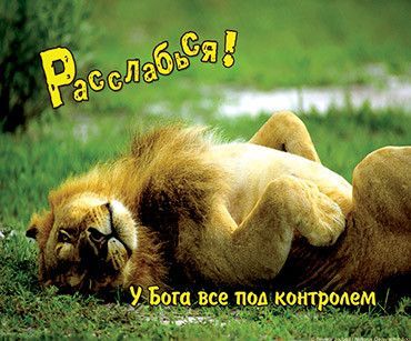 Открытка маленькая №138 - Расслабься! У Бога все под контролем