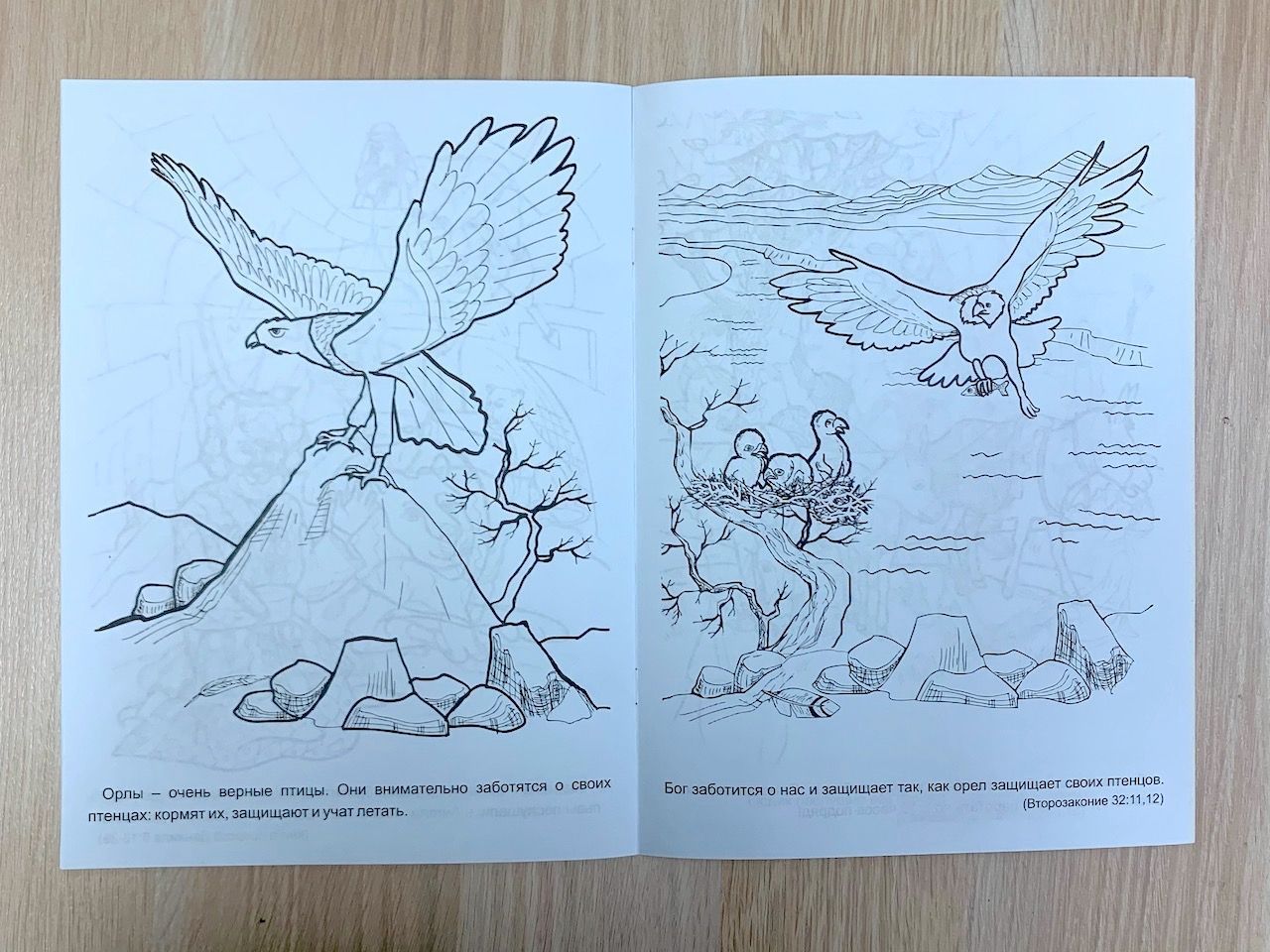 Животные и птицы библии (книжка -раскраска)