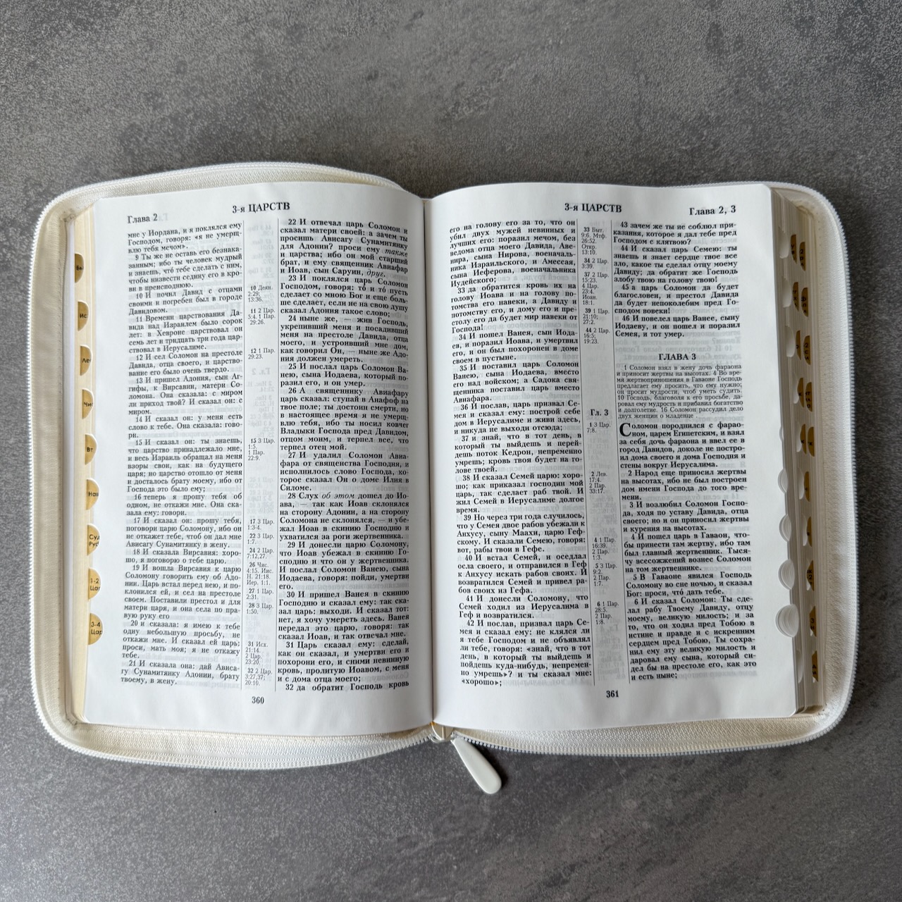 Дисконт. Маленькая серая точка на лицевой обложке, слева от центра. Библия 076zti код 25076-16, дизайн "слово Библия", кожаный переплет на молнии с индексами, цвет белый пятнистый, размер 170x243 мм