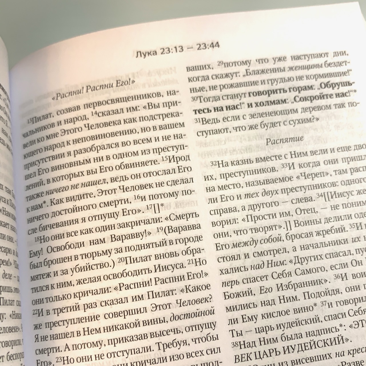 Новый Завет для молодежи (в современном переводе)