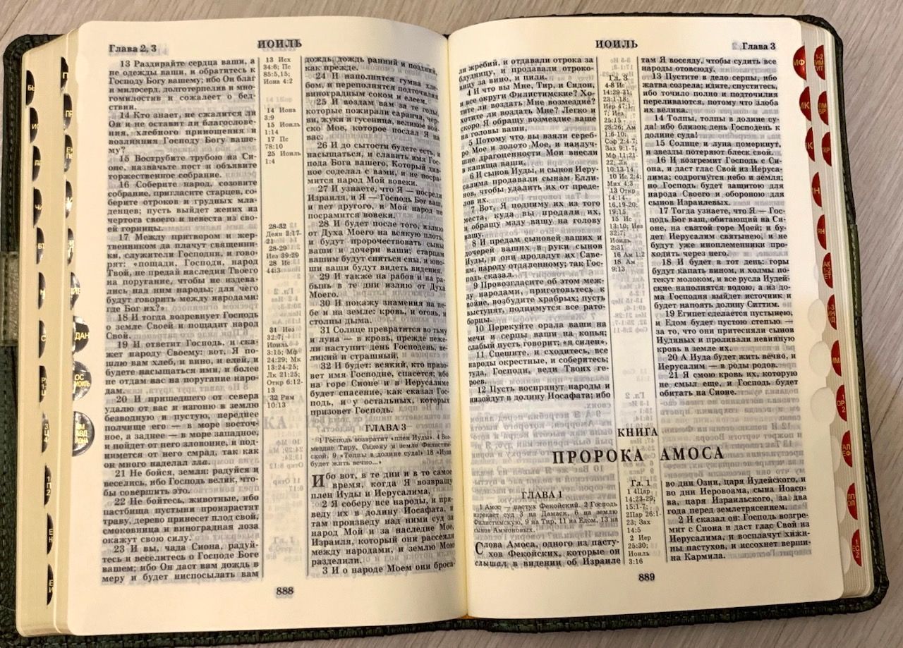 Библия 075DRTI гибкий тканевый переплет, фактура "водоросли", цвет темно-зеленый, золотые страницы, большой формат 160*240 мм, код 1308