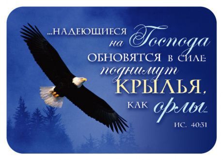 Календарь карманный на 2024 год «…надеющиеся на Господа обновятся в силе» орел