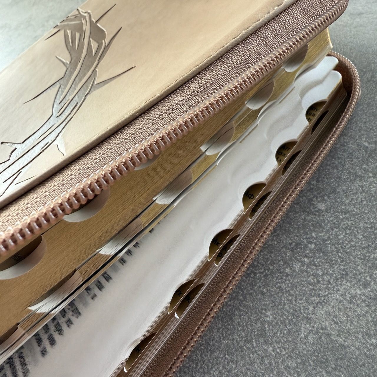 Дисконт. Черные точки на задней стороне обложке справа от центра. Библия 076zti код 25076-36, термо штамп "Терновый венец", переплет из эко кожи на молнии с индексами,  цвет серо-бежевый, размер 170x240 мм