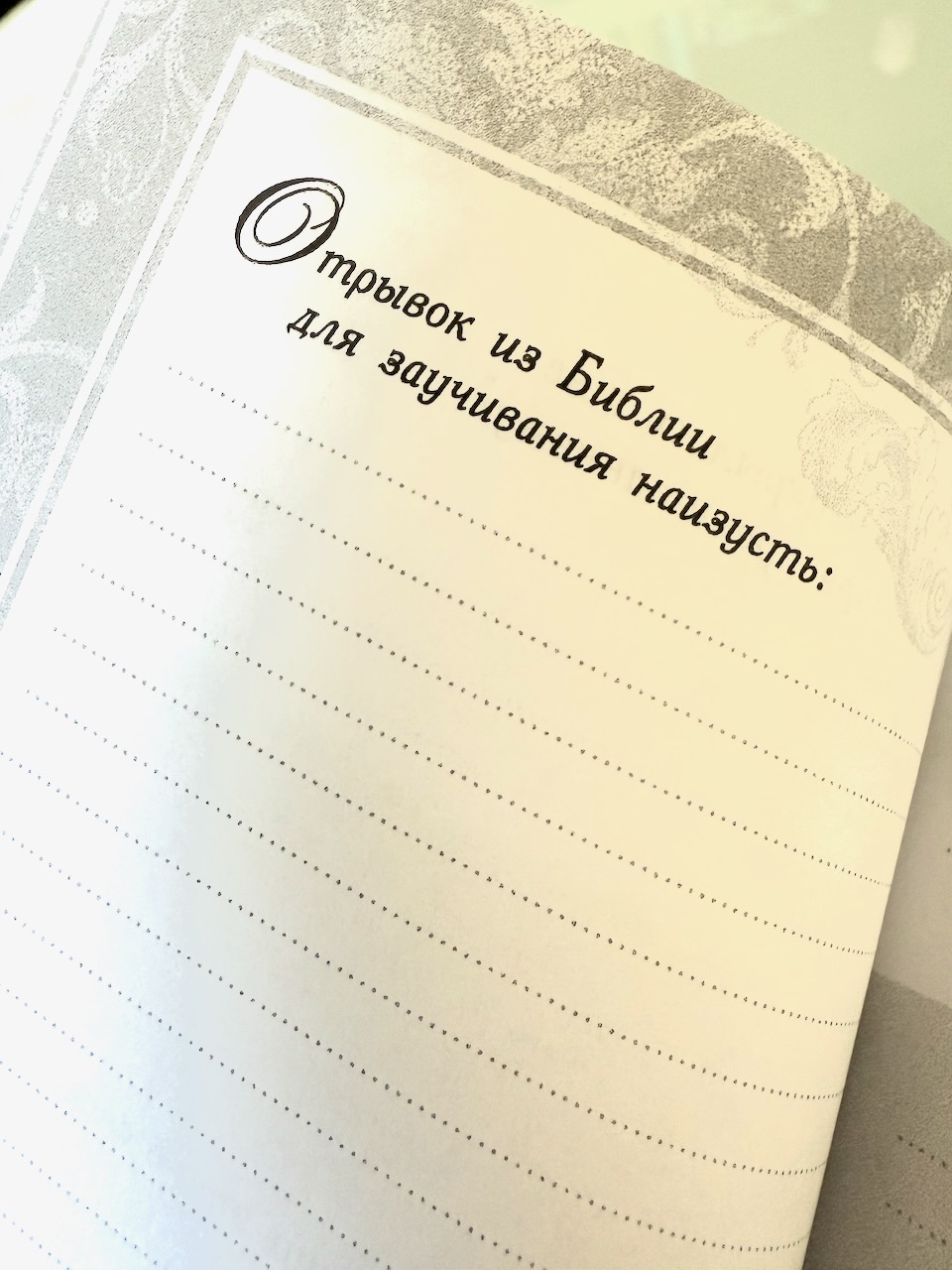 Мой дневник чтения библии "Васильки"