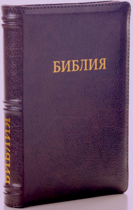 БИБЛИЯ 046zti формат, переплет из натуральной кожи на молнии с индексами, надпись золотом "Библия", цвет бордо  металлик, средний формат, 132*182 мм, цветные карты, шрифт 12 кегель