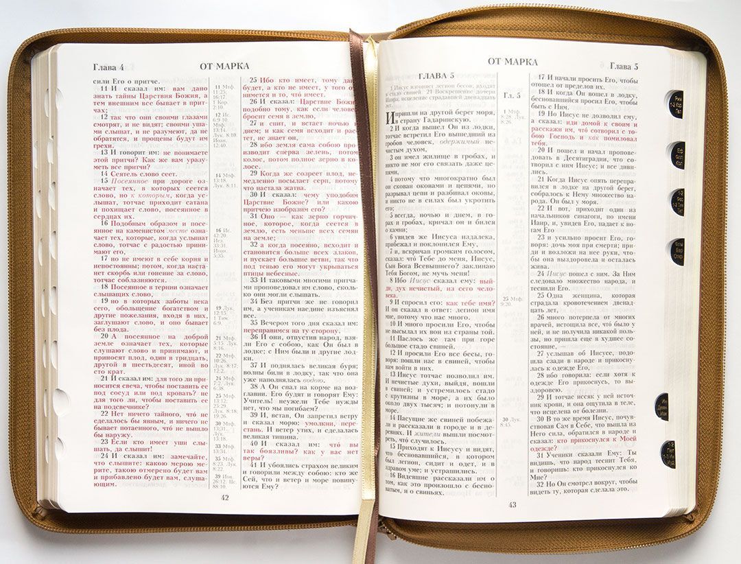 Библия 076 zti  рисунок термо штамп Лев, цвет бежевый  размер 23 x16 см , переплет с молнией и индексами, золотой обрез