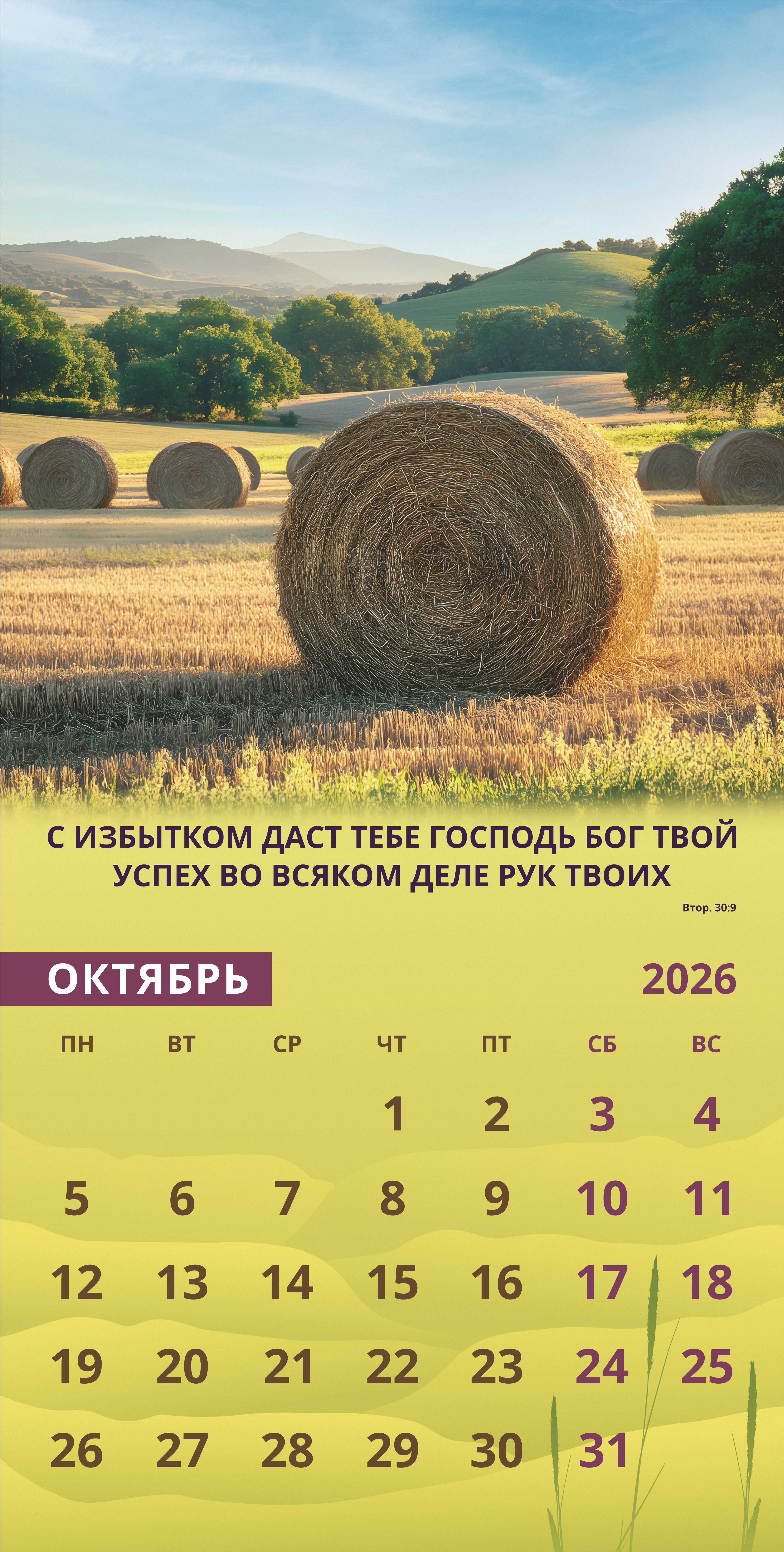 Календарь перекидной на скобе Мужской "Достигая цели" на 29*29 см на 2026 (планер) на 12 листах