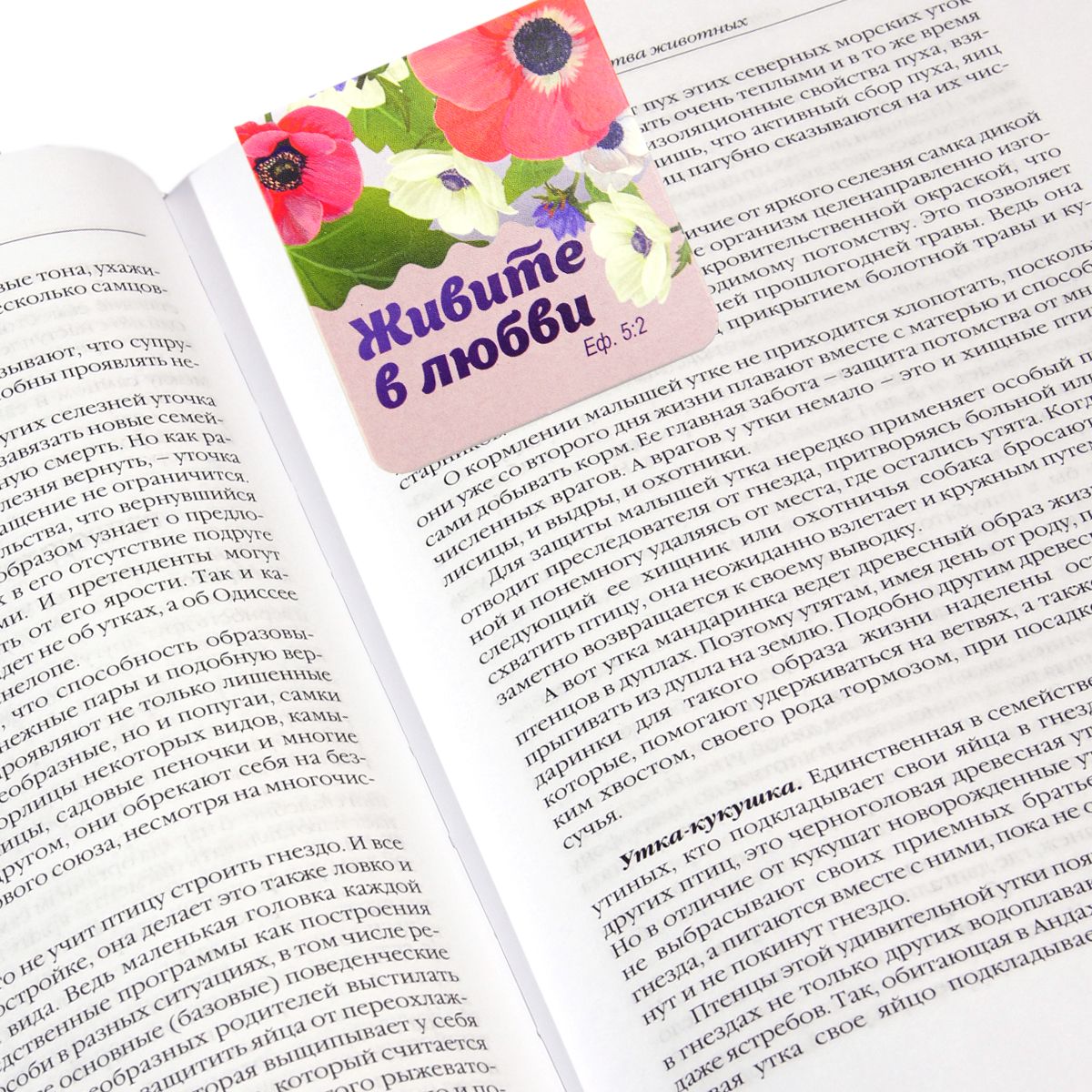 Набор магнитных двойных закладок (6шт) "Слава Богу за все", размер в сложаном виде  2,2х3,5 см