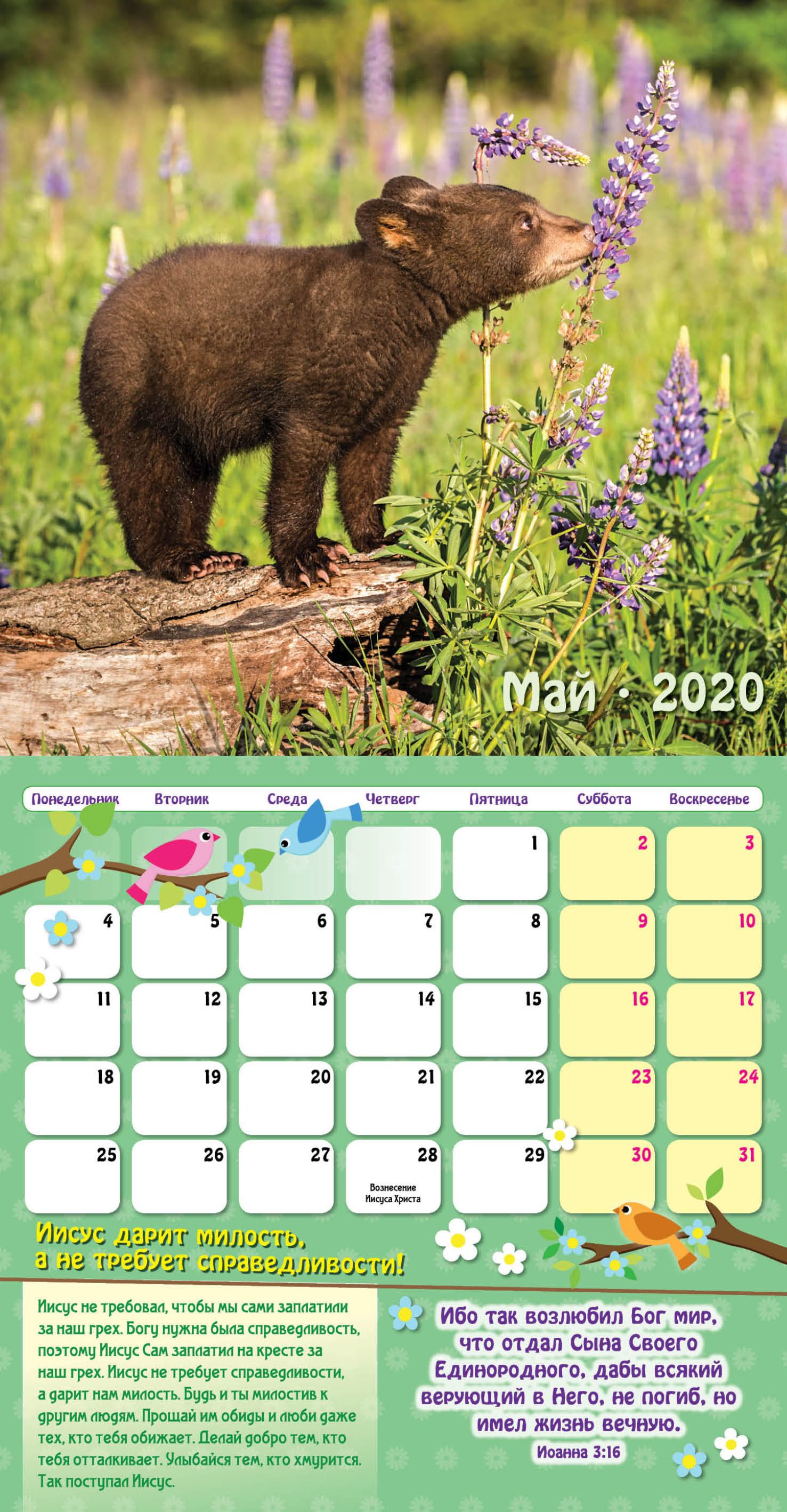 Календарь детский перекидной- планер на скобе на 12 листах на 2020 год 27*48 см "Я хочу быть, как Иисус!" (животные)