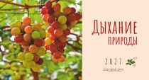 Календарь настольный "Домик" перекидной на 2027 год, 21х11 см "Дыхание природы"