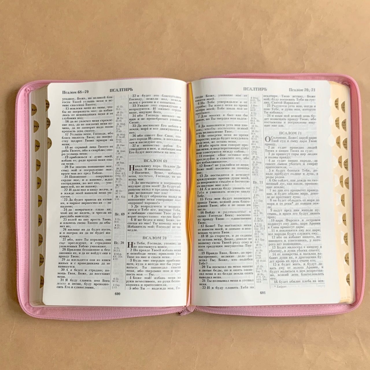Библия 076zti код G2, дизайн "голубь" термо печать, переплет из искусственной кожи на молнии с индексами, цвет розовый с цветной печатью, размер 180x243 мм