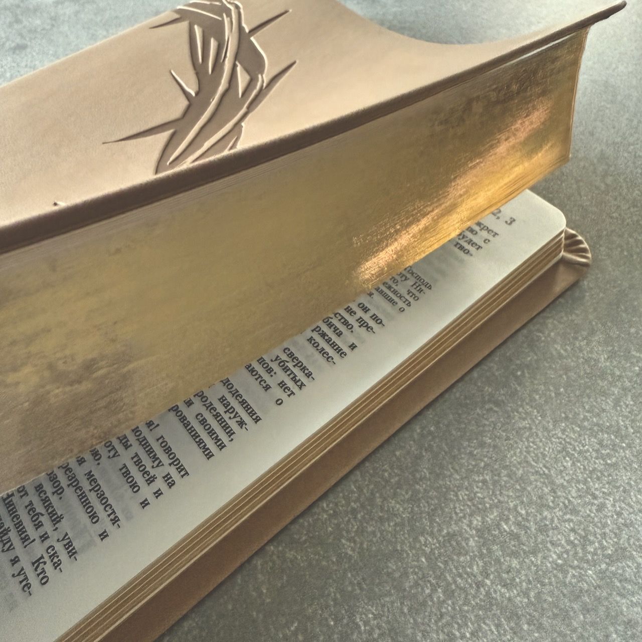 Библия 055 код 25055-55 термо штамп "терновый венец", переплет из эко кожи, цвет серо-бежевый, средний формат, 143*220 мм