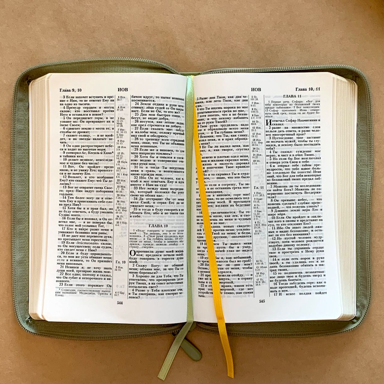 Библия 055z код H1 7076 переплет из натуральной кожи на молнии, цвет пастельный светло-салатовый, дизайн голубь, средний формат, 143*220 мм, параллельные места по центру страницы, золотой обрез, крупный шрифт