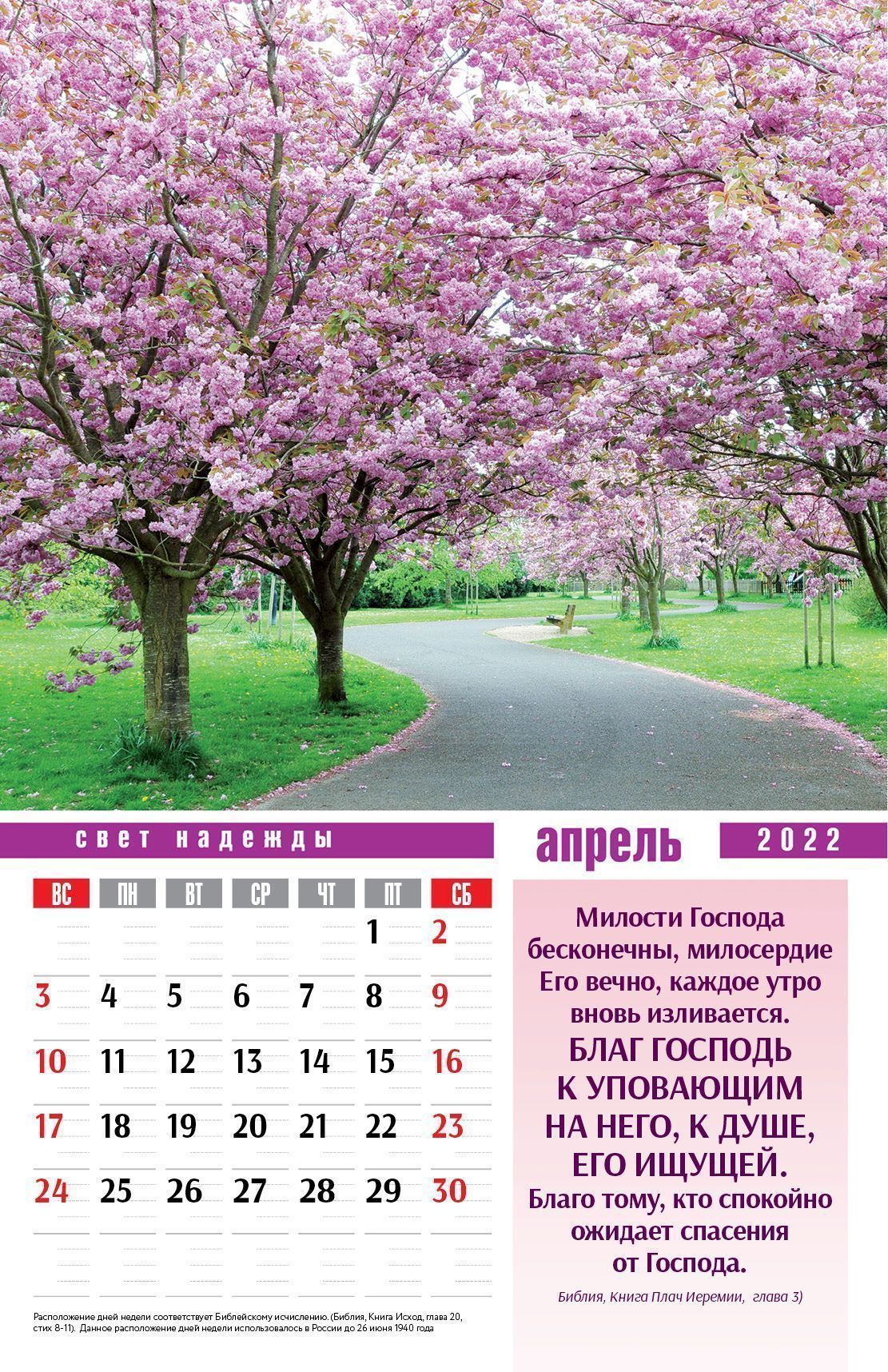 Календарь перекидной на пружине на 12 страницах (ЭКОНОМ) на 2022 год 29*45 см (большой) "Свет надежды" код 520401