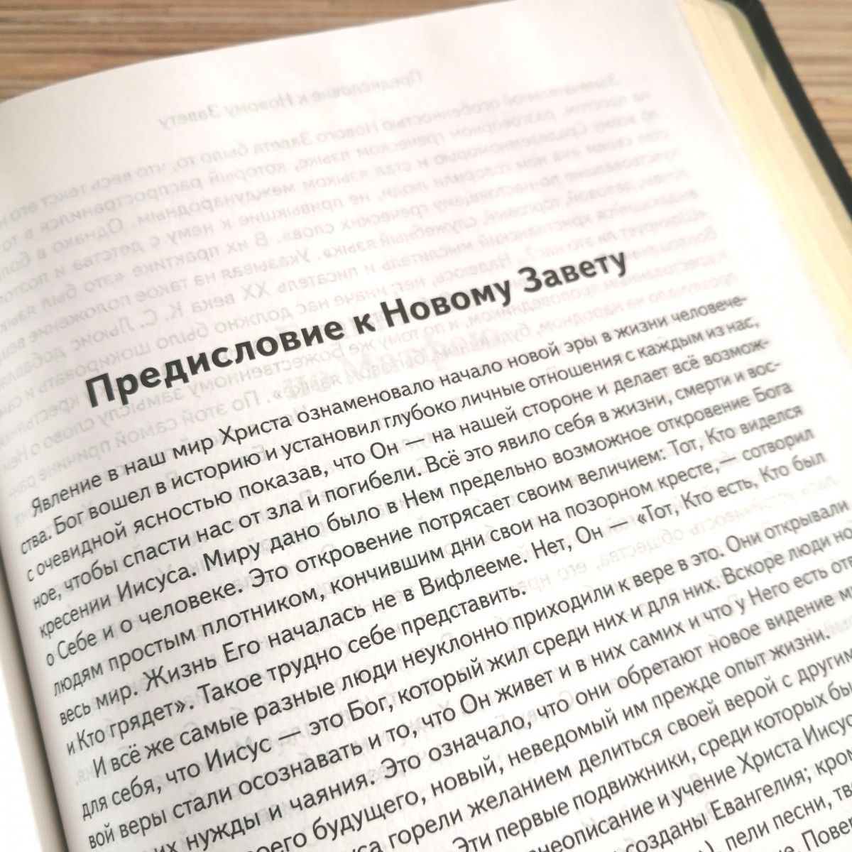 Библия в современном русском переводе 061. под редакцией Кулакова. Кожаный переплет, золотые страницы, цвет темно-коричневый