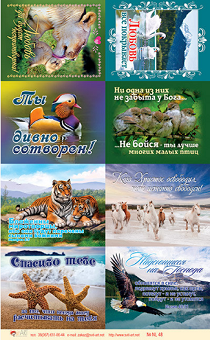 Наклейки листами А5 формата (Разные животные) Любовь все покрывает, Ты дивно сотворен, Блаженны миротворцы №48