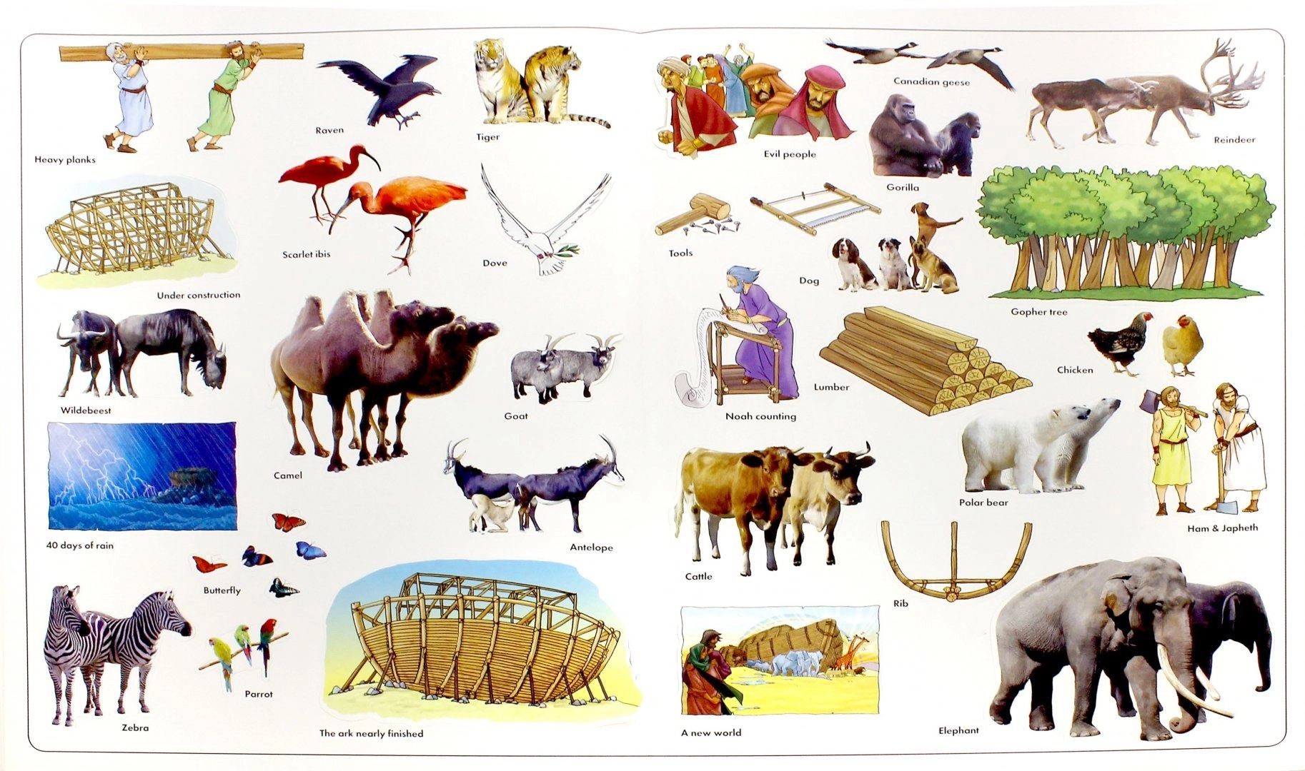 Схема ковчега. Животные по парам Ковчег. Пары животных для ковчега. Ковчег для диких животных. Фигуры животных Ноев Ковчег птицы.