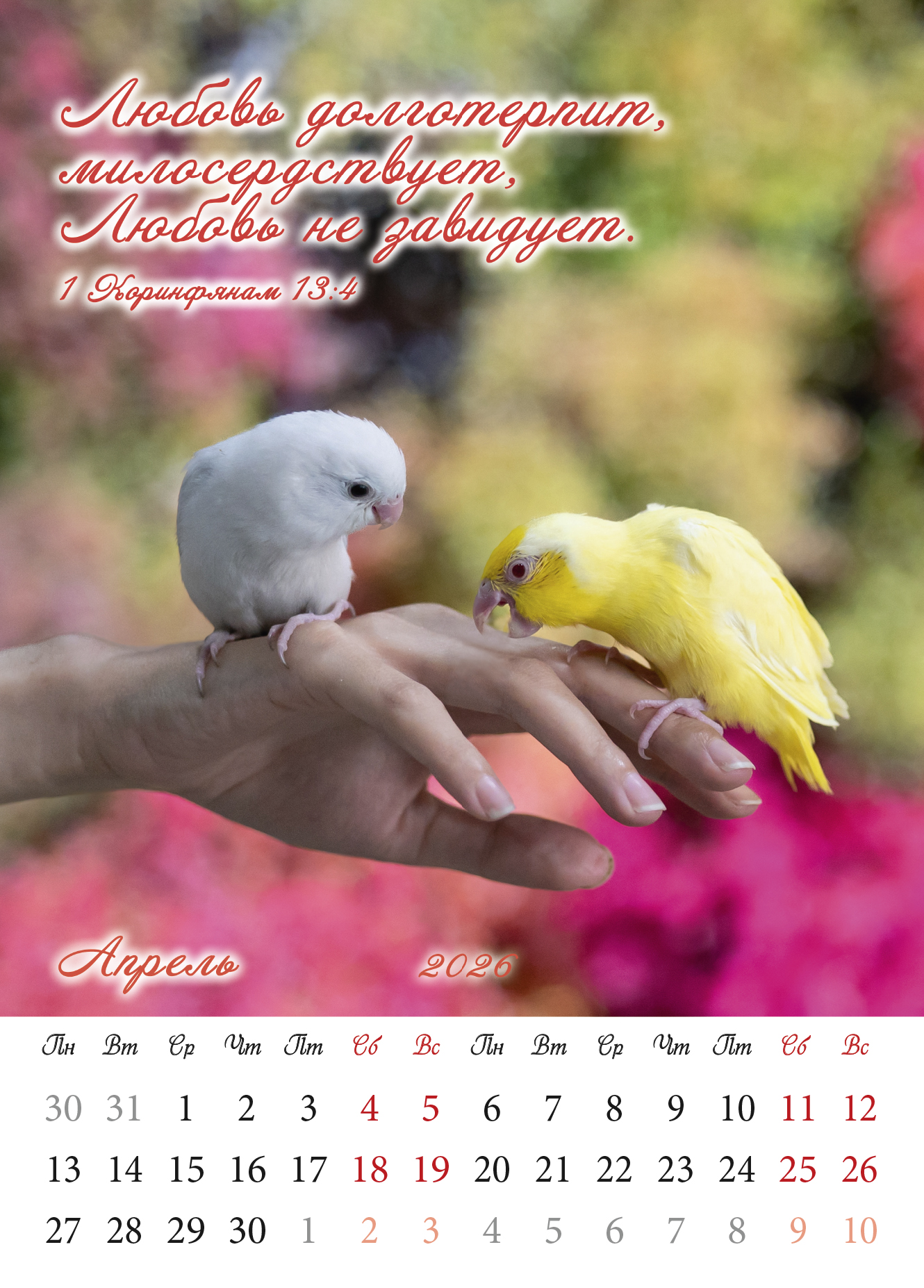 Календарь перекидной на пружине 12 страницах на 2026 год  формат А3+, 34*50 (большой) "Семейный очаг" о бескоротсной любви
