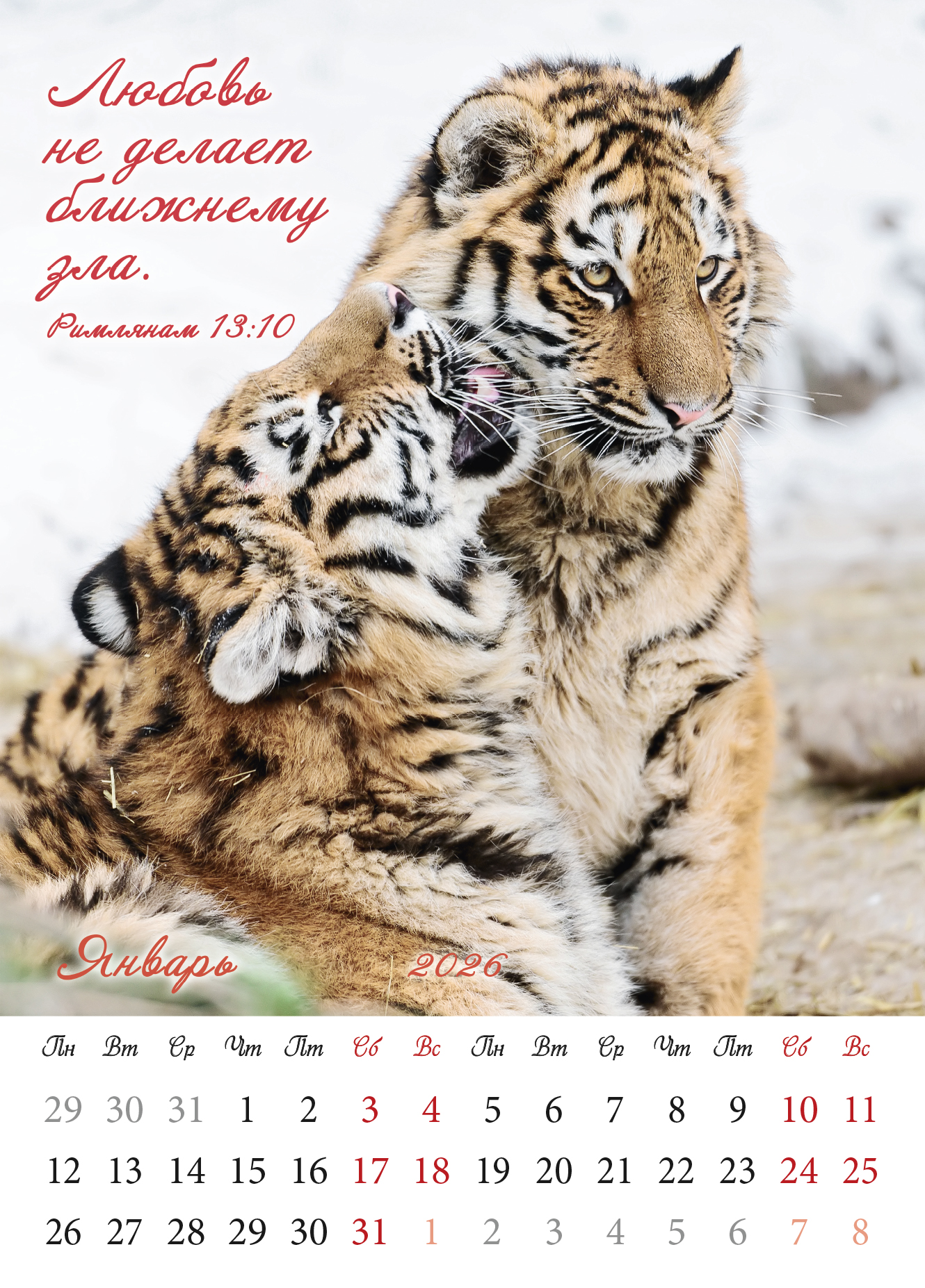 Календарь перекидной на пружине 12 страницах на 2026 год  формат А3+, 34*50 (большой) "Семейный очаг" о бескоротсной любви