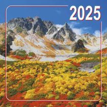 Календарь перекидной на скобе "Природа" на 29*29 см на 2025 (планер) на 12 листах